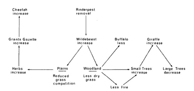 Rinderpest-purtubation..jpg