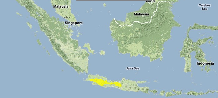 Western-java-montane-rain-forests.png