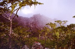 249px-Chimanimani nationalpark2.jpg