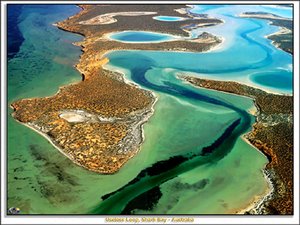 300px-Shark Bay, Australia.jpg