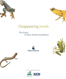 Disappearing jewels cover page250.gif.jpeg