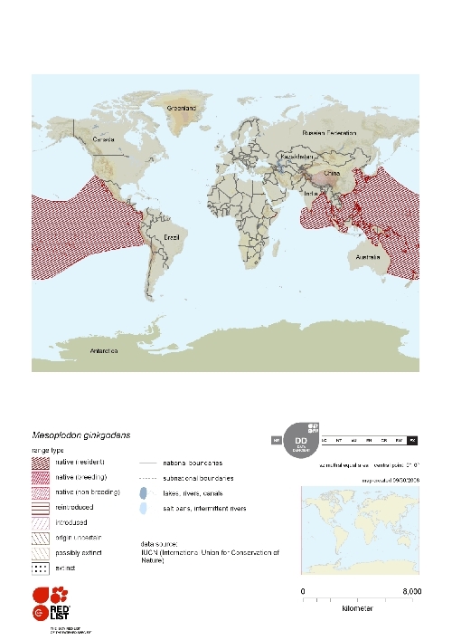 Distribution of Ginko-toothed beaked whale.png.jpeg