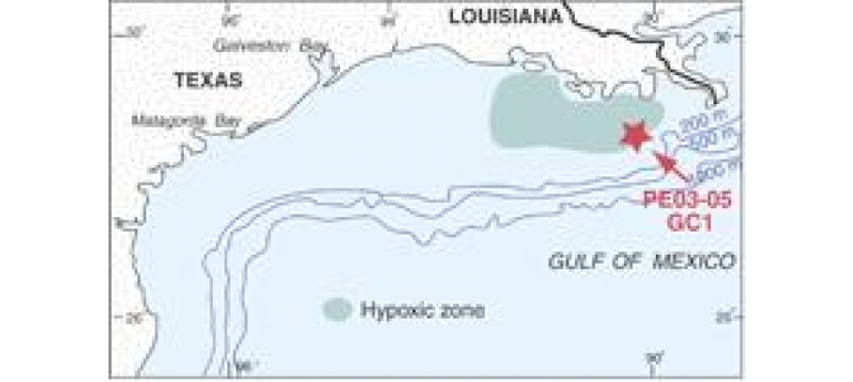 Gulf Dead Zone.gif.jpeg