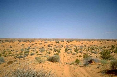 Content Cover Image