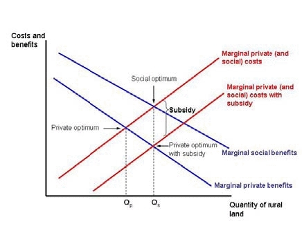 Subsidy-for-open-land-use-graph.gif.jpeg