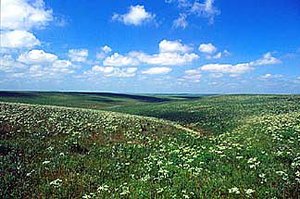 300px-Flint Hills, Kansas, USA.jpg