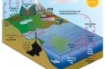 Tracking the Global Carbon Cycle.jpg