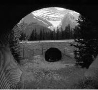 193px-Trans-Canada Highway underpass.jpg