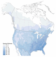 200px-Amphibian diversity in north america.gif