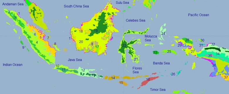 Indonesia-ecoregions.png.jpeg