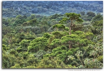 Content Cover Image