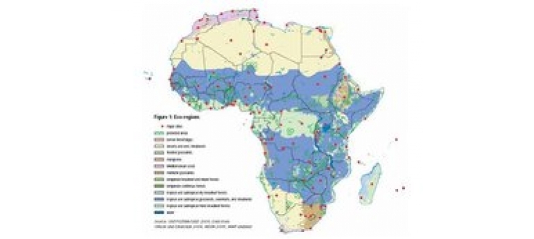 Africa EcoRegions.jpg