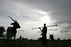 Farmer-herder conflicts in Sub-Saharan Africa