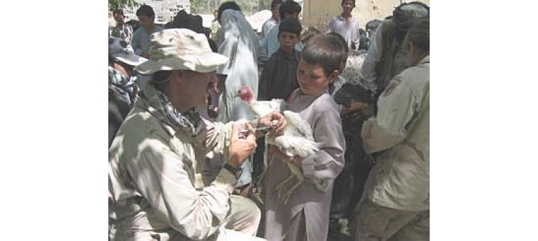 VveterinarianVaccinatesChickenAfghanistan USAID.jpg