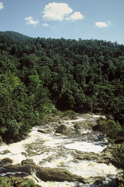 Central-cardamom-mountains--cambodia.jpg