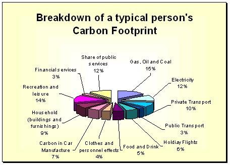 Individual carbon footprint.JPG