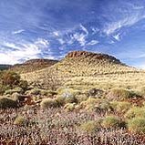 159px-Riversleigh, Australia.jpg