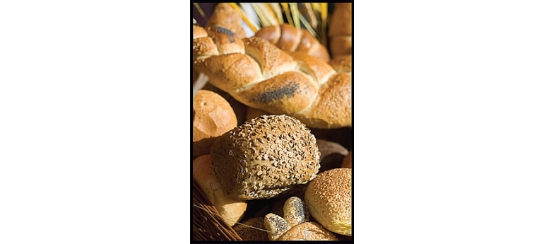 Bread FAO.jpg