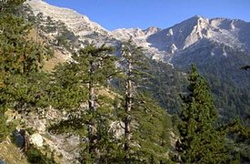 275px-Pindus3.jpg