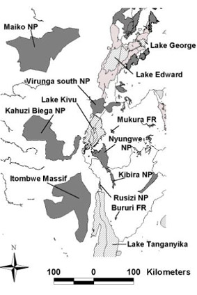 Albertine Rift centralmap.jpg