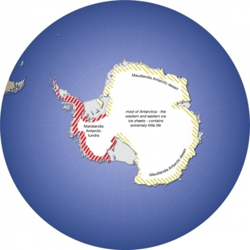 Ecoregions-in-antarctica-14b6.jpg