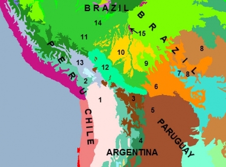 Ecoregions-of-bolivia.jpg