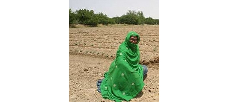 PakistaniWomanW-Vegetables USAID.jpg