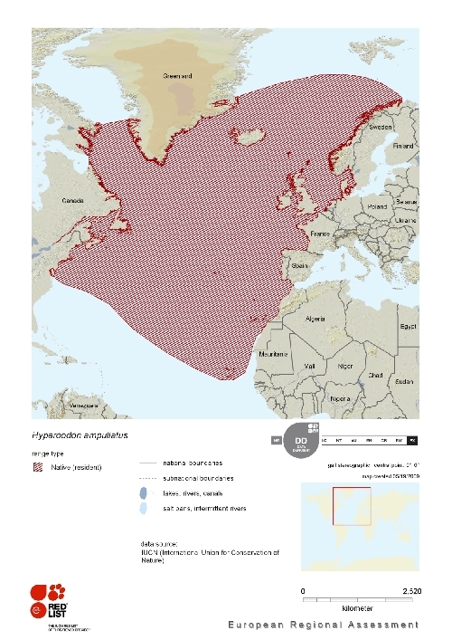 Distribution of northern bottlenose whale.png.jpeg