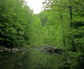 350px-na0412-richland-creek-arkansas.jpg