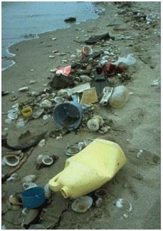 Trash on beach.jpg.jpeg
