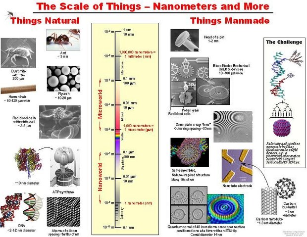 620px-Nanometer-scale items.jpg