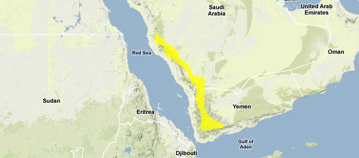 Southwestern-arabian-montane-woodlands.png