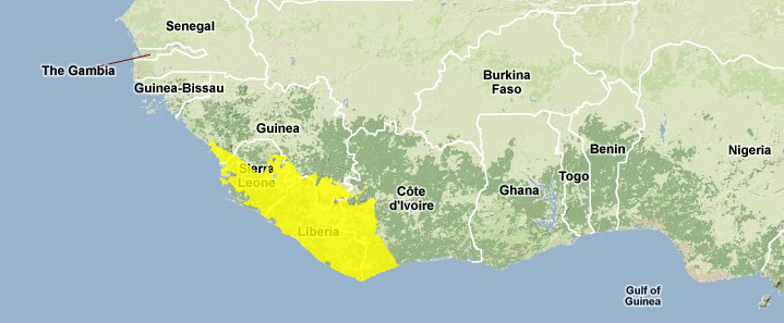 Western-guinean-lowland-forests.png