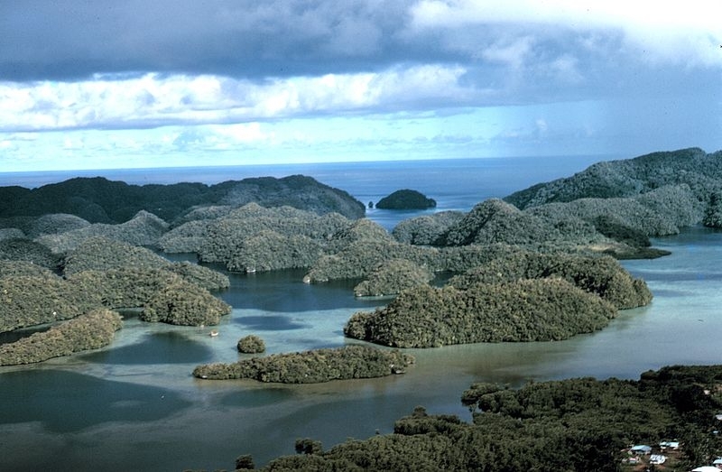 800px-aerial-view-limestone-islands-palau1971.jpg