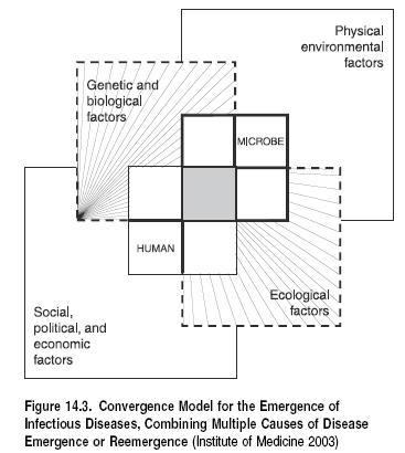 Ecosystems and Human Well-Being Vol 1 Fig 14.3.JPG