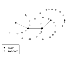 250px-Wolf conditional logistic regression.png