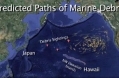 TsunamiDebris NOAA.jpg
