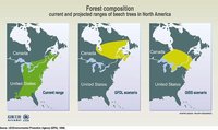 200px-Climate change forest migration.jpeg