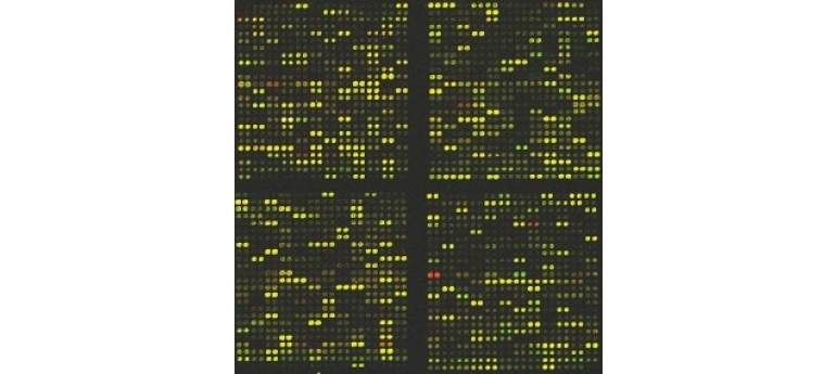 CompTox Microarray.jpg