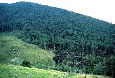 Magdalena-valley--colombia.jpg