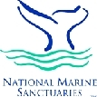NMS Logo.gif.jpeg