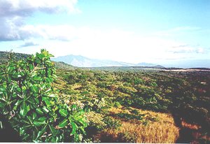300px-Parque National Rincon de la Vieja, Costa Rica.jpg