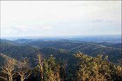 175px-Ecoregions of Arkansas Ouachita Mountains 1.jpg
