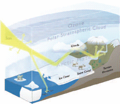 400px-Factors affecting UV radiation in the Arctic..GIF