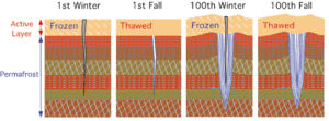 300px-Ice wedge diagram.gif