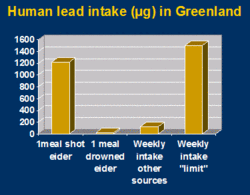 Human Lead intake (μg) in Greenland. (Source: <a href=%27http_/www.dmu.dk/International/%27.html class='external text' title='http://www.dmu.dk/International/' rel='nofollow'>National Environmental Research Institute</a>)