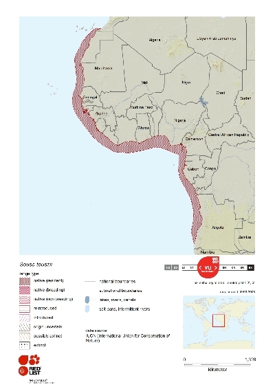 Distribution of Sousa teuszii.png.jpeg