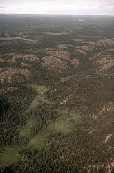 250px-Eastern Canadian Shield taiga 3.jpg