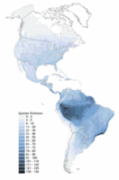 200px-Americas diversity of frogs and toads.gif