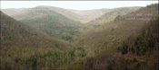 175px-Ecoregions of Arkansas Boston Mountains 1.jpg